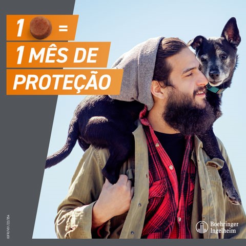 Frontpro use and image of man with dog