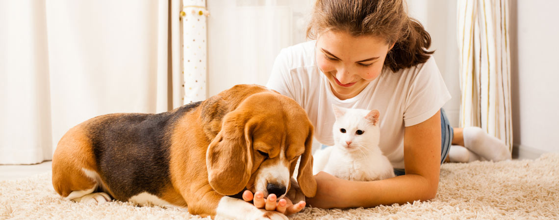 Women and dog and cat